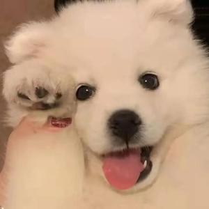 国产成人福利美女观看视频
